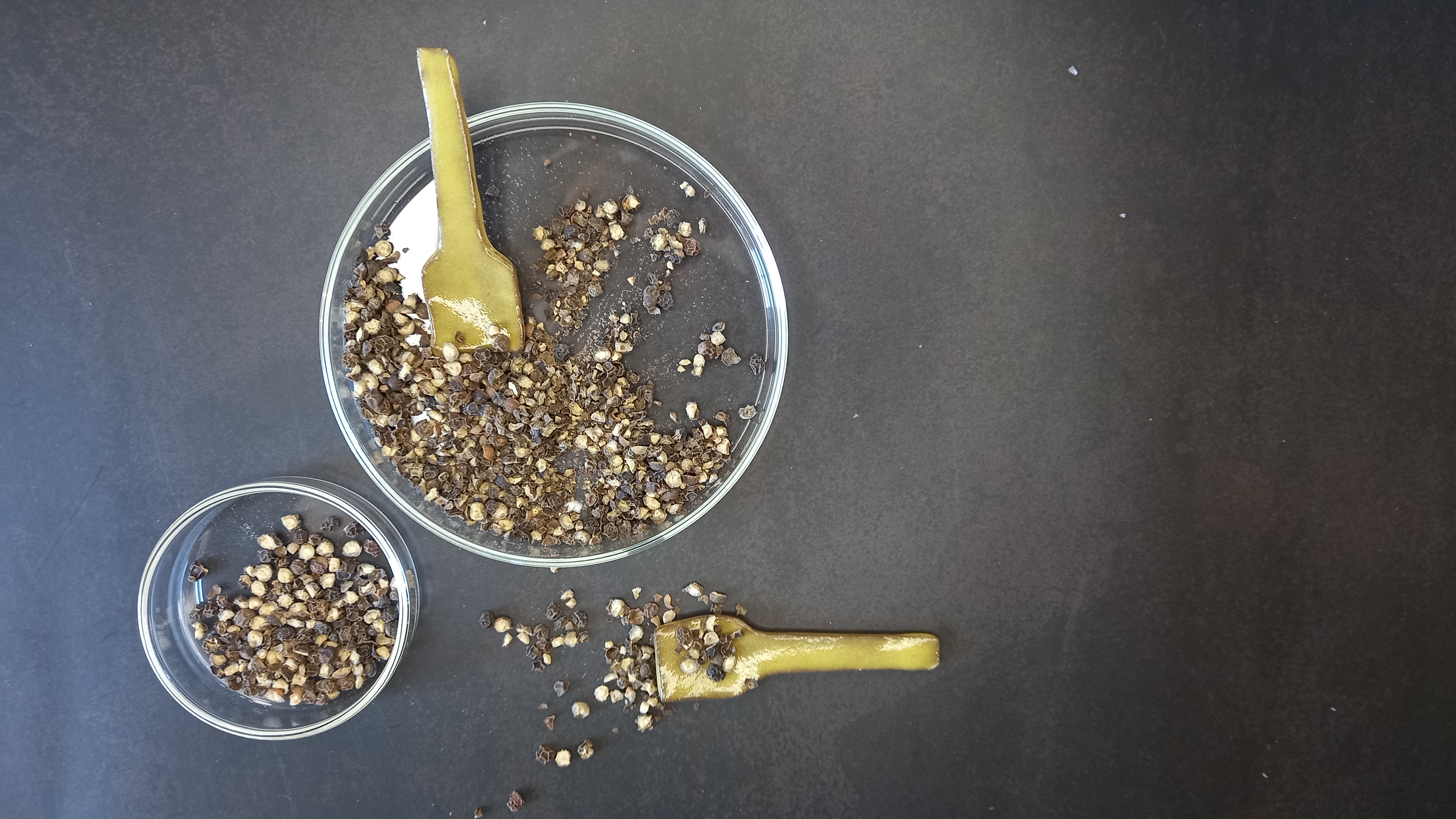 20210702_124346 - Copy